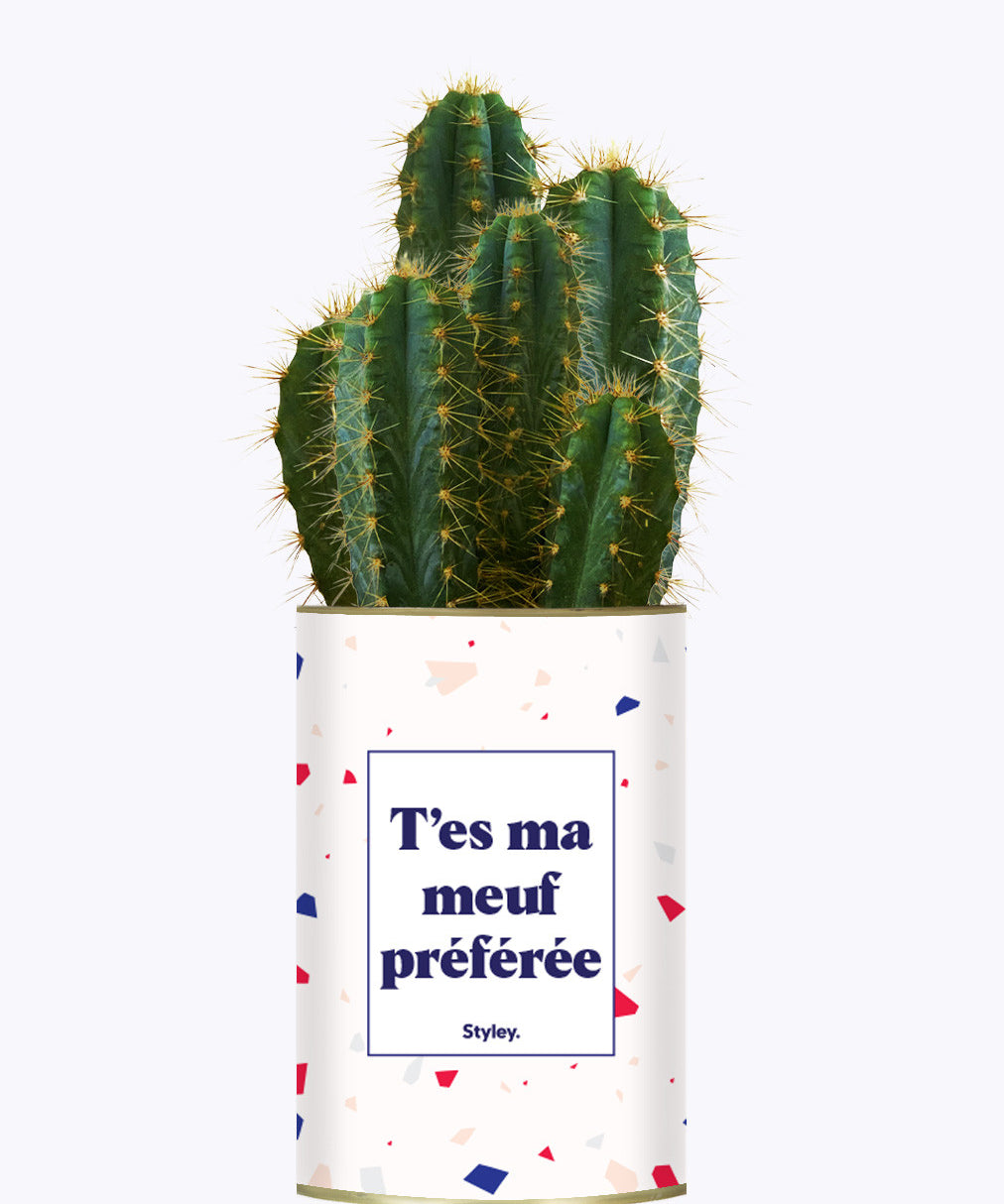T'es ma meuf préférée - Cactus