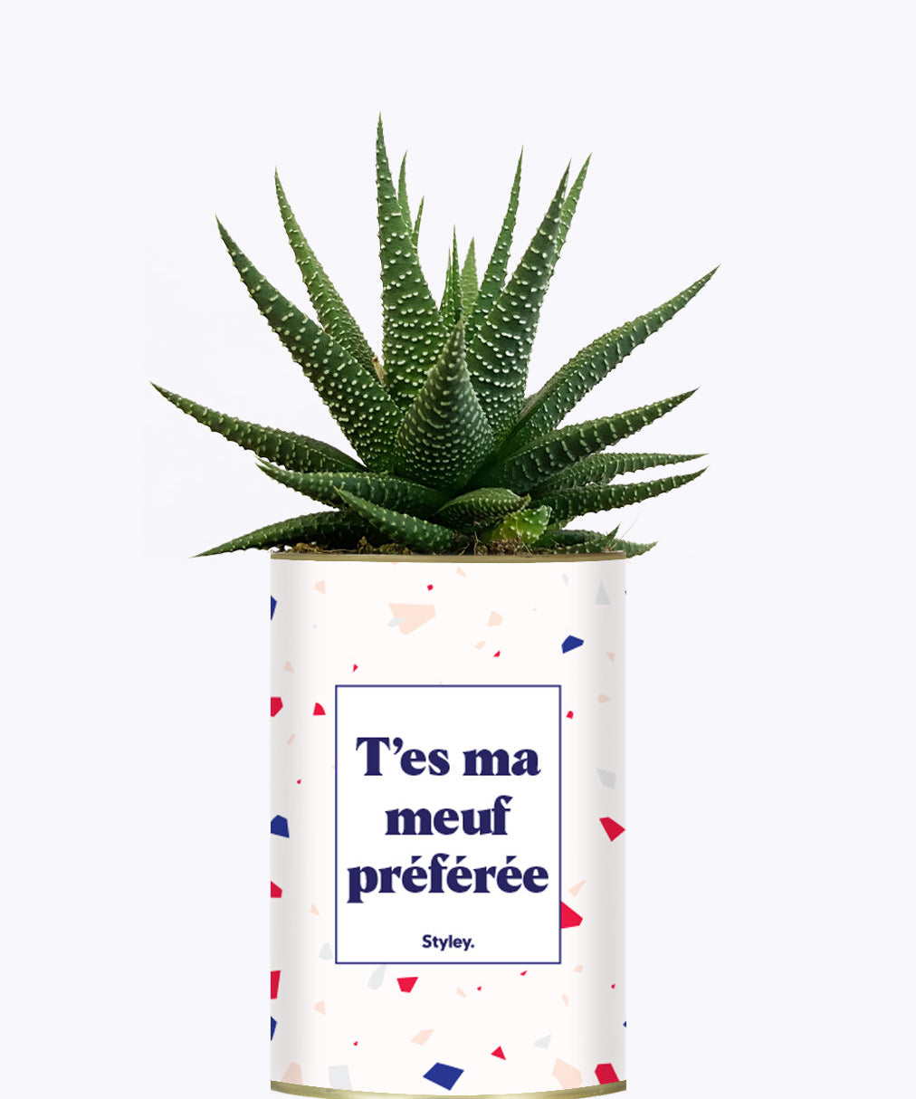 T'es ma meuf préférée - Cactus
