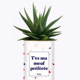 T'es ma meuf préférée - Cactus