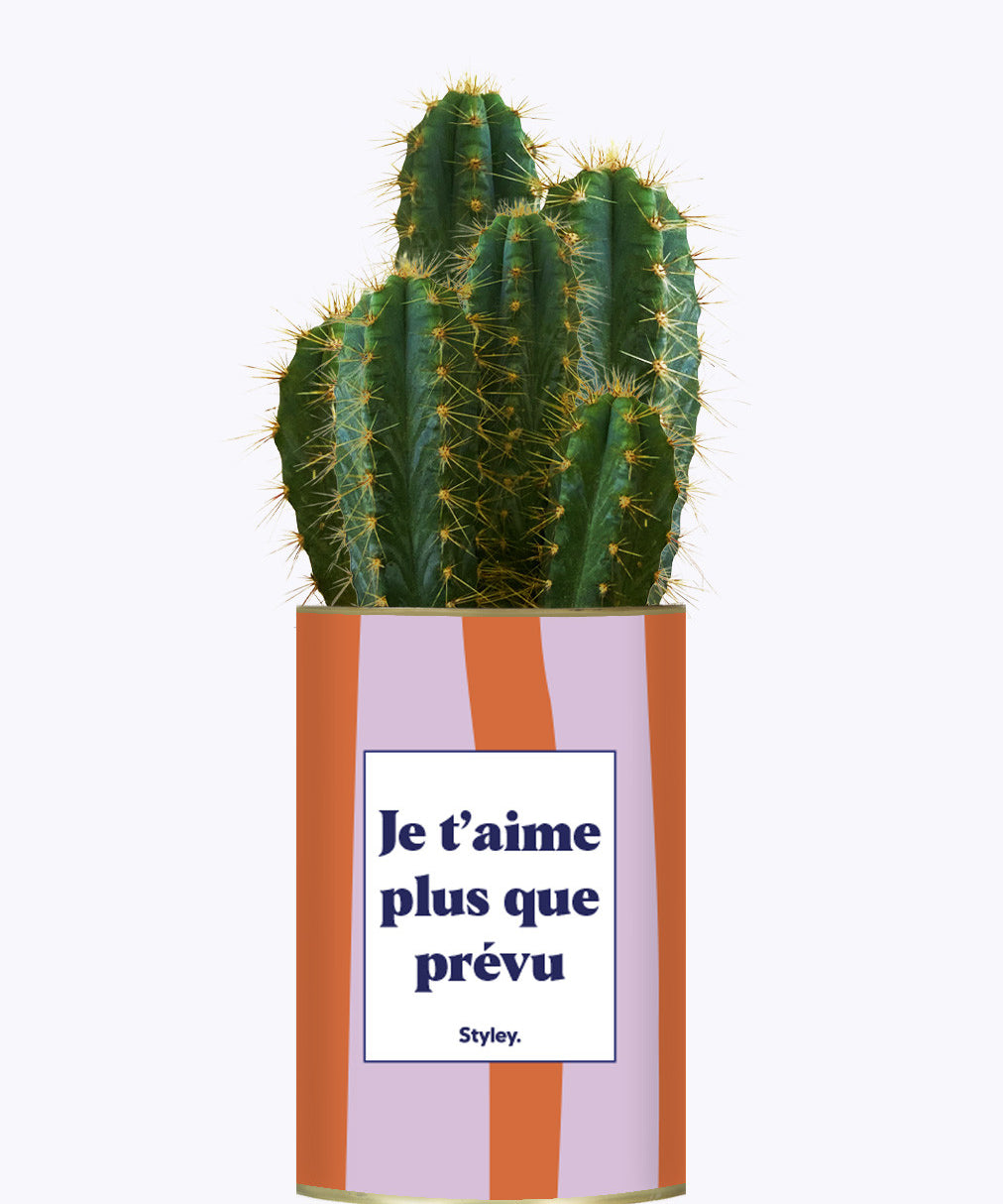 Je t'aime plus que prévu - Cactus