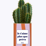 Je t'aime plus que prévu - Cactus