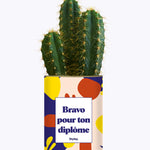 Bravo pour ton permis - Cactus