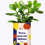 Bravo pour ton permis - Cactus