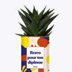 Bravo pour ton permis - Cactus