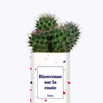 Bienvenue sur la route - Cactus