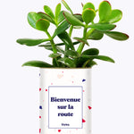 Bienvenue sur la route - Cactus