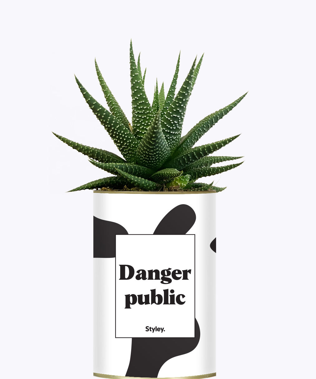 Danger Public - Cactus