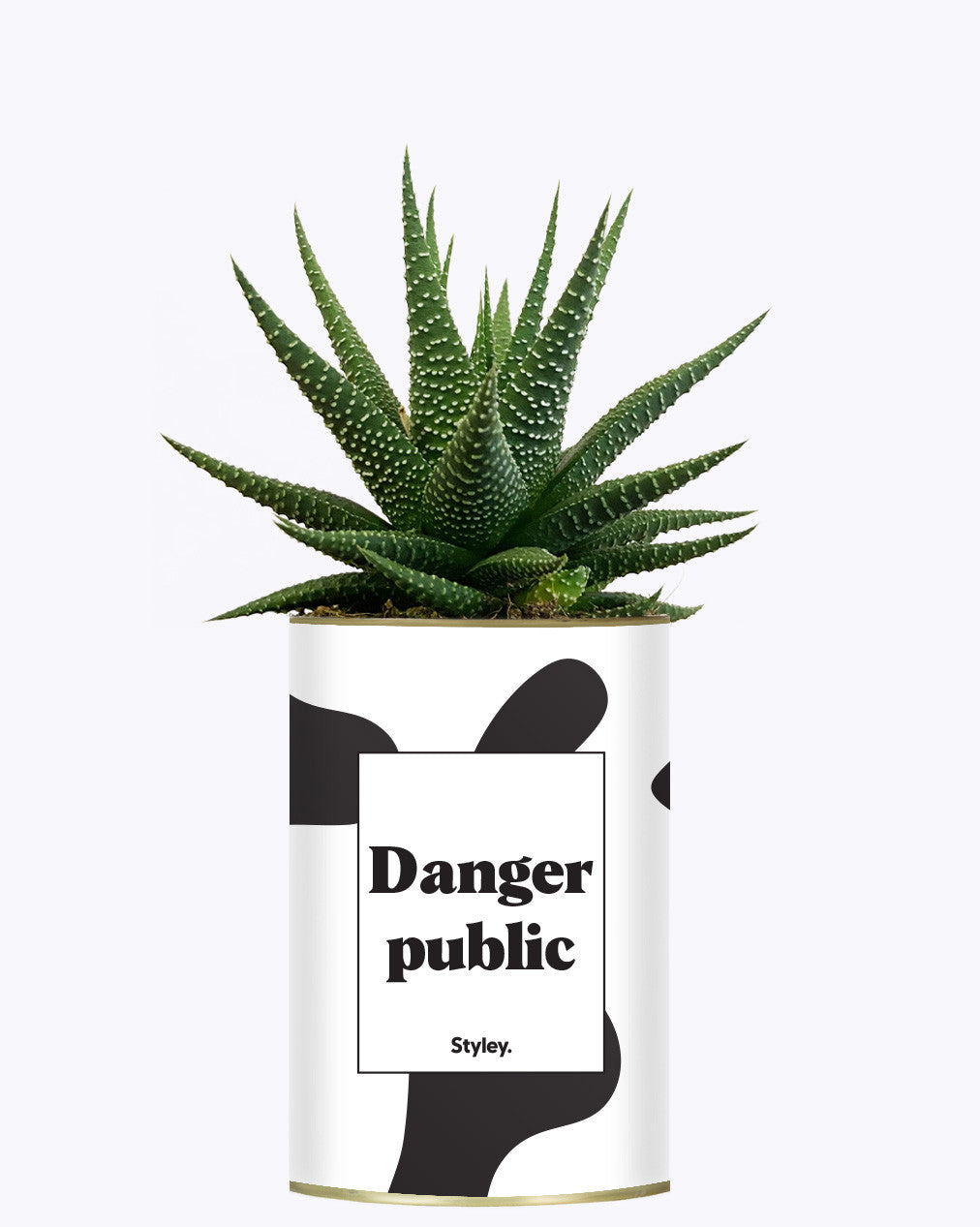 Danger Public - Cactus