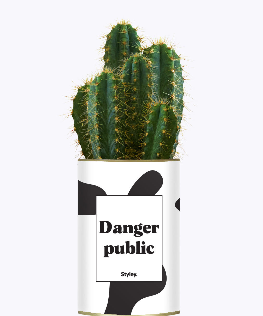 Danger Public - Cactus