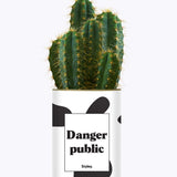 Danger Public - Cactus