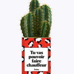 Tu vas pouvoir faire chauffeur - Cactus
