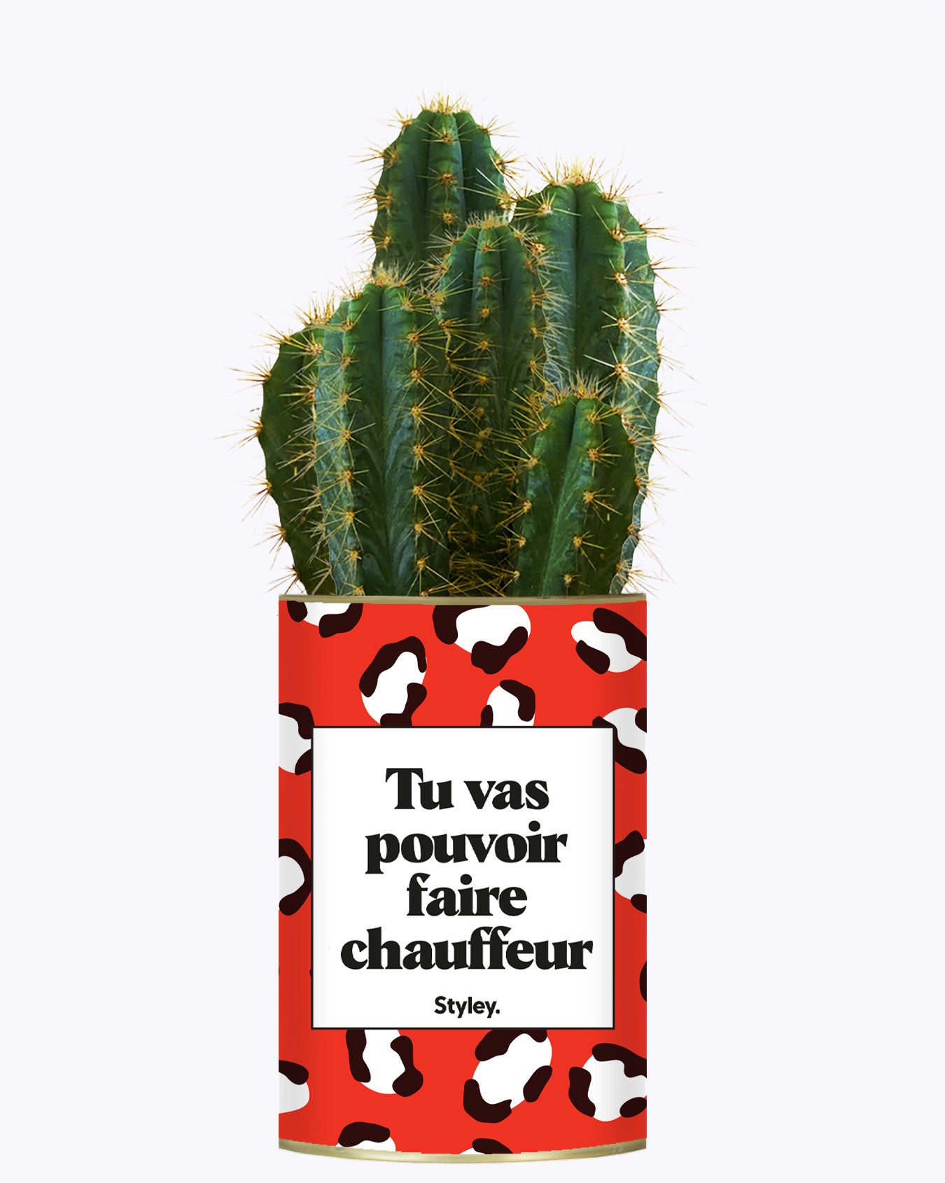 Tu vas pouvoir faire chauffeur - Cactus