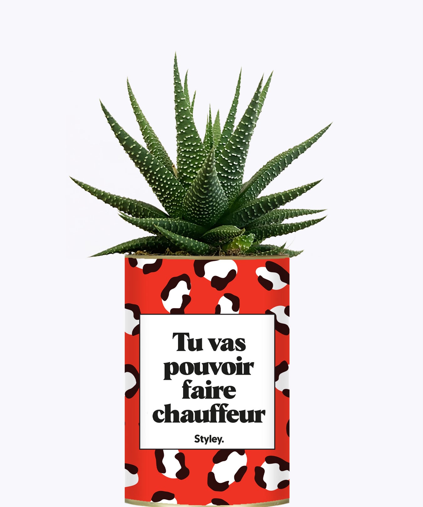 Tu vas pouvoir faire chauffeur - Cactus