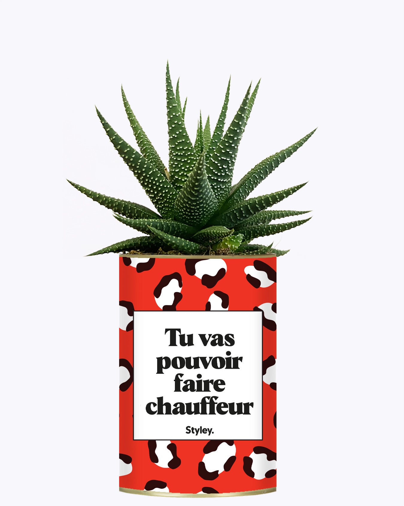 Tu vas pouvoir faire chauffeur - Cactus