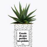 Essaie de ne pas perdre tes points - Cactus
