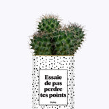 Essaie de ne pas perdre tes points - Cactus