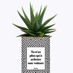 Tu n'as plus qu'à acheter une voiture - Cactus