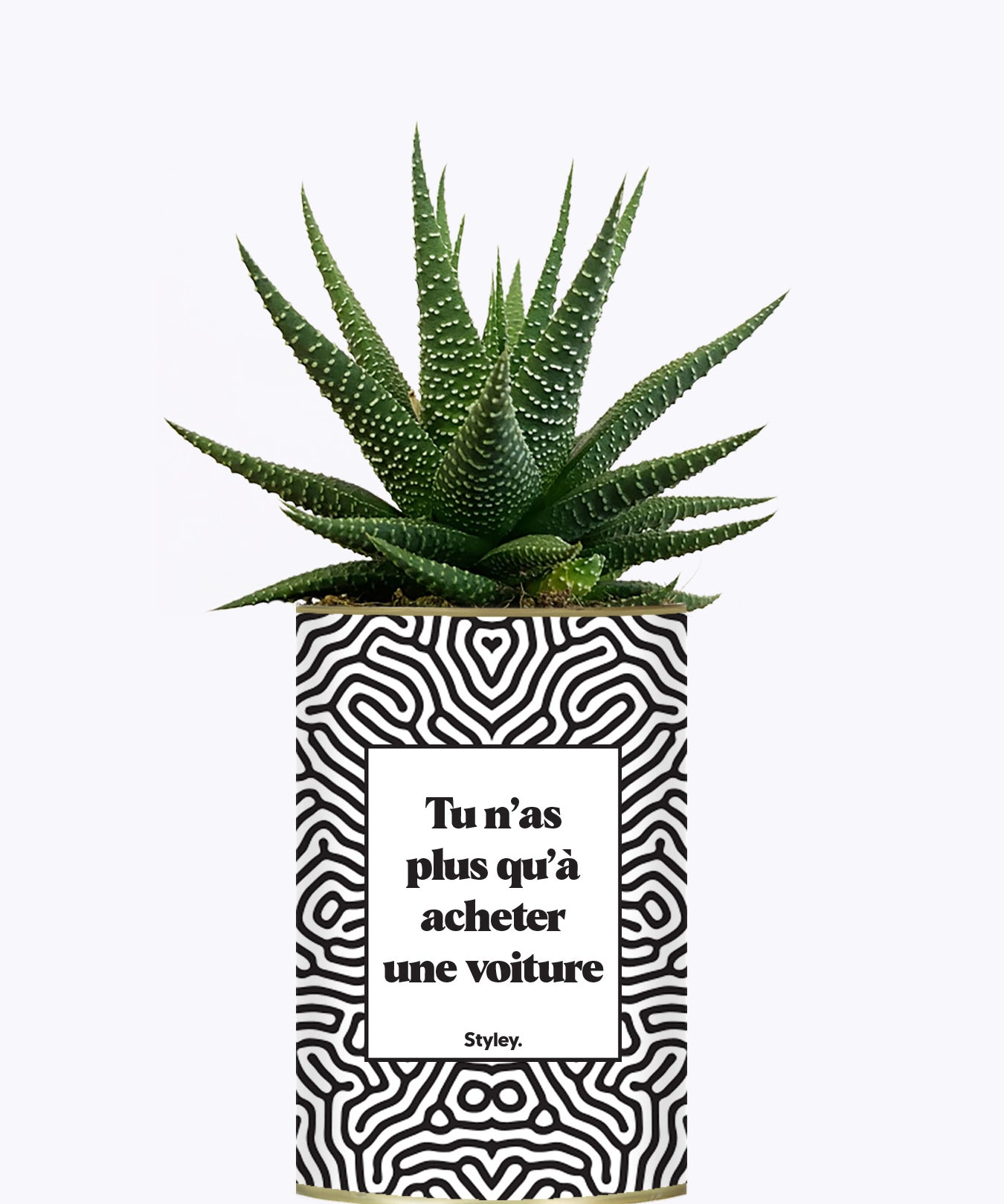 Tu n'as plus qu'à acheter une voiture - Cactus
