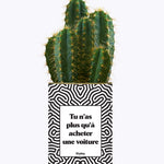 Tu n'as plus qu'à acheter une voiture - Cactus