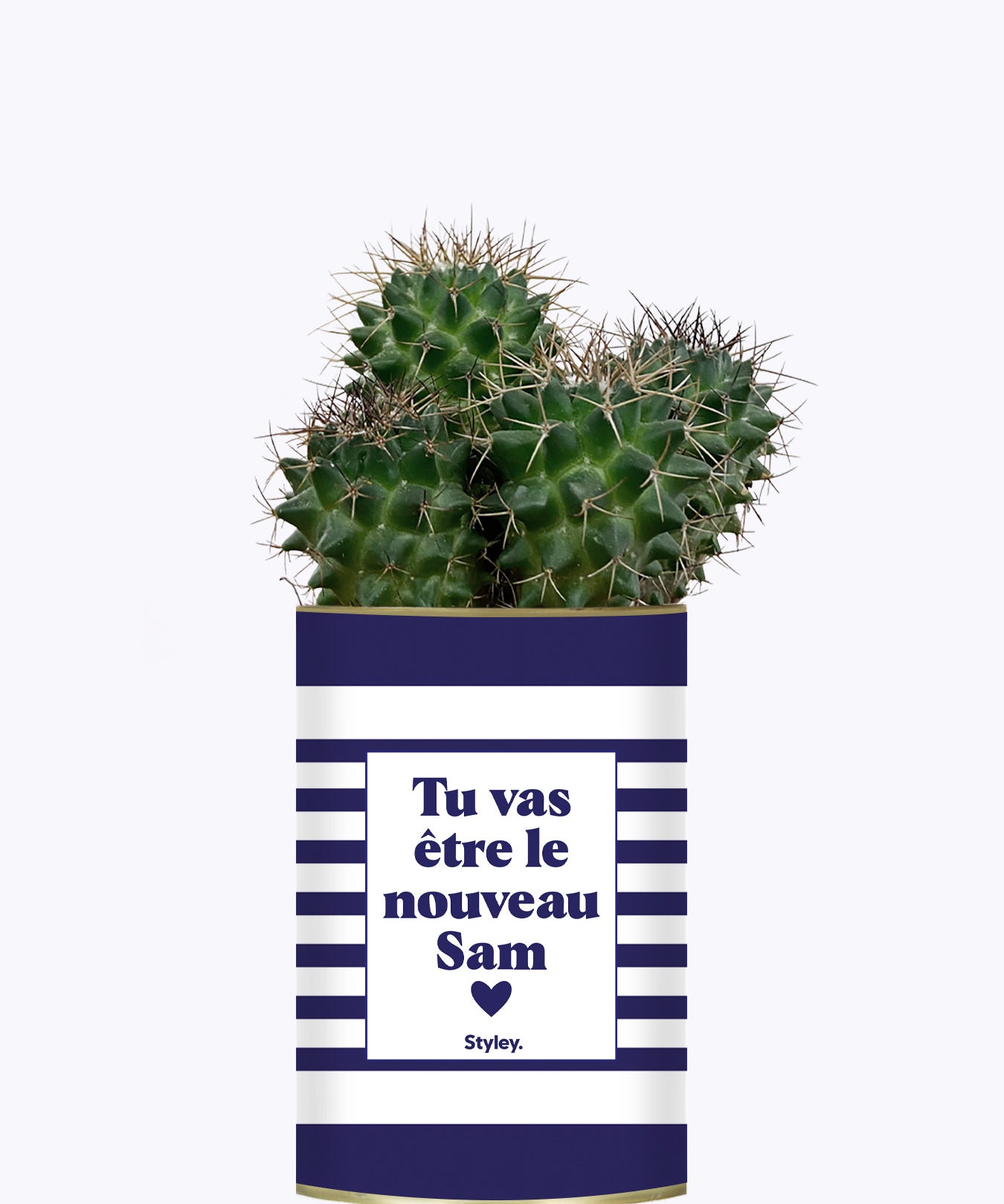 Tu vas être le nouveau Sam - Cactus