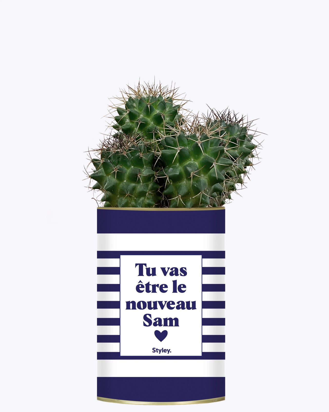 Tu vas être le nouveau Sam - Cactus