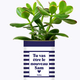 Tu vas être le nouveau Sam - Cactus