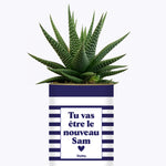 Tu vas être le nouveau Sam - Cactus