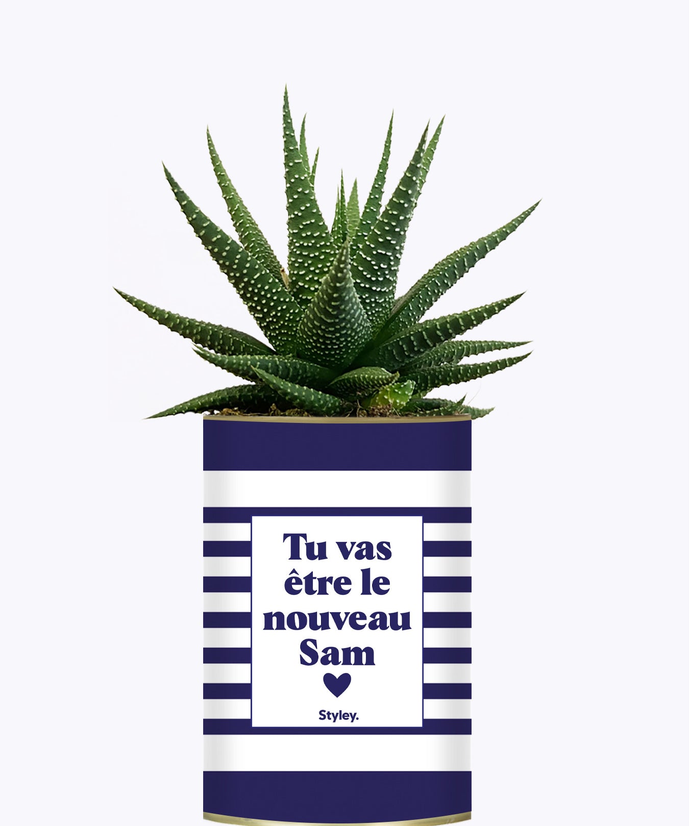 Tu vas être le nouveau Sam - Cactus