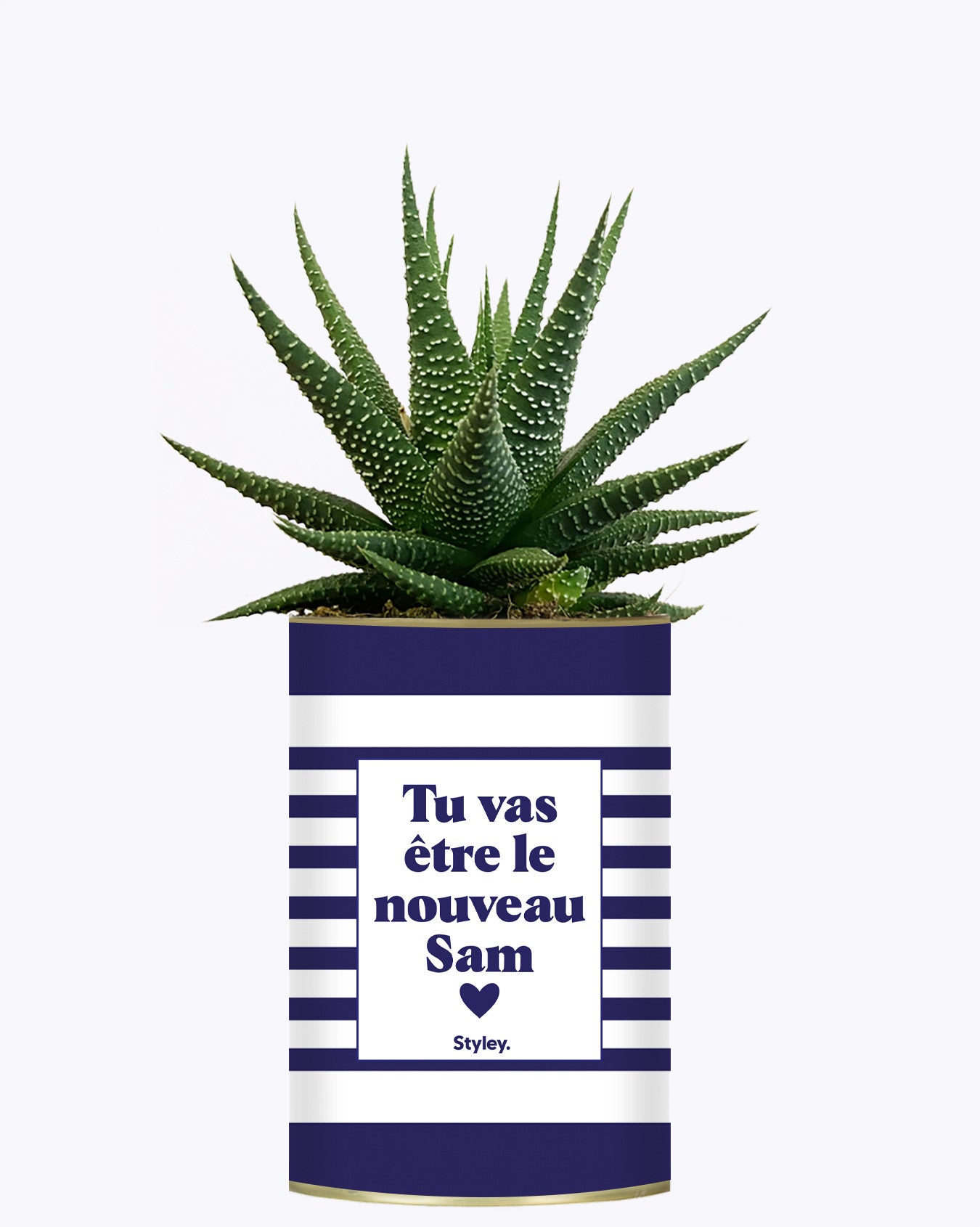 Tu vas être le nouveau Sam - Cactus