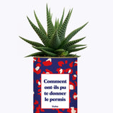 Comment ont-ils pu te donner le permis ? - Cactus