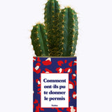 Comment ont-ils pu te donner le permis ? - Cactus