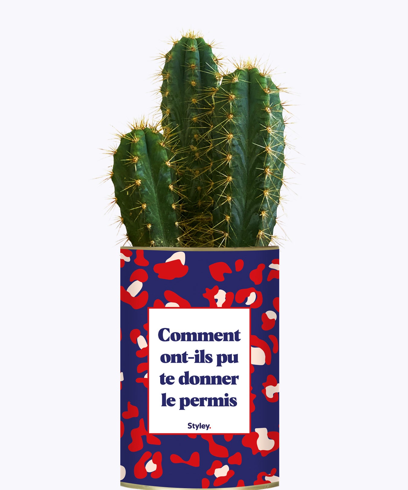 Comment ont-ils pu te donner le permis ? - Cactus
