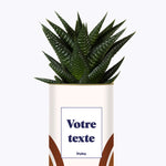 Arc - Plante personnalisable