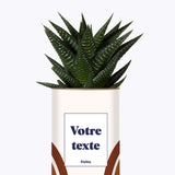 Arc - Plante personnalisable