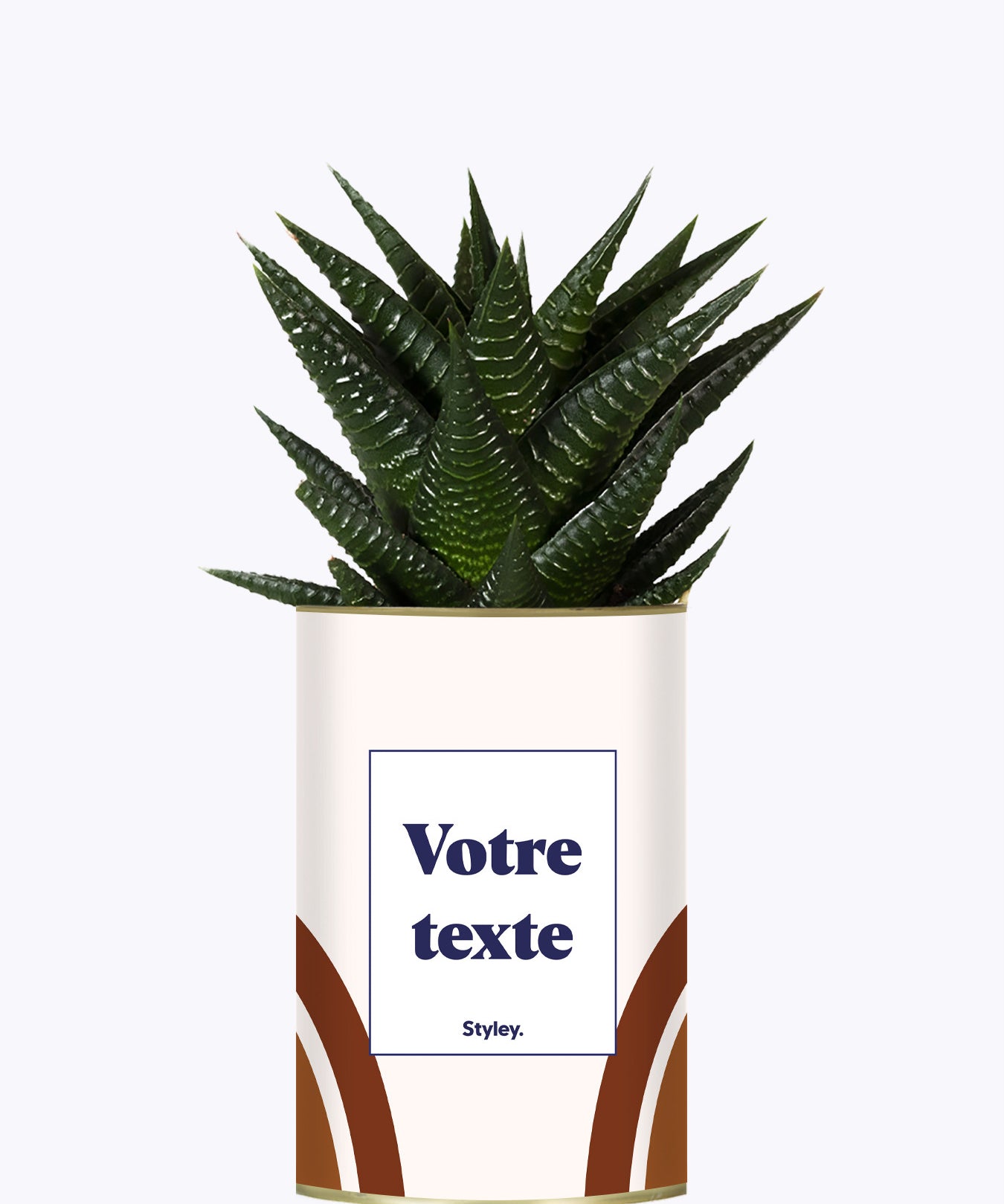 Arc - Plante personnalisable