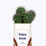 Arc - Plante personnalisable
