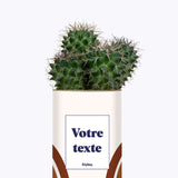 Arc - Plante personnalisable