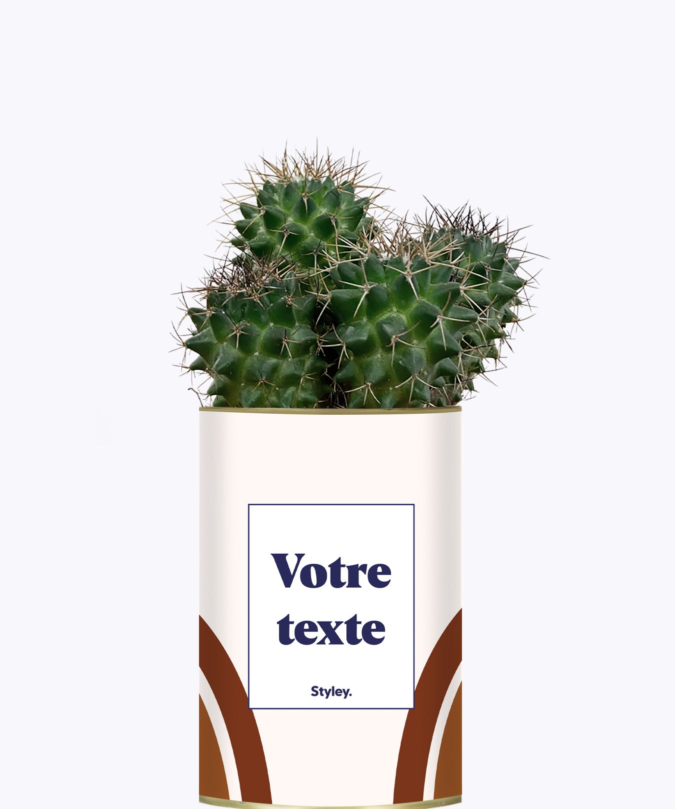 Arc - Plante personnalisable