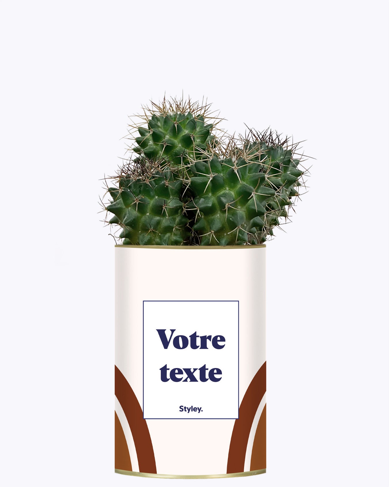 Arc - Plante personnalisable
