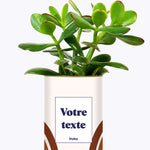 Arc - Plante personnalisable
