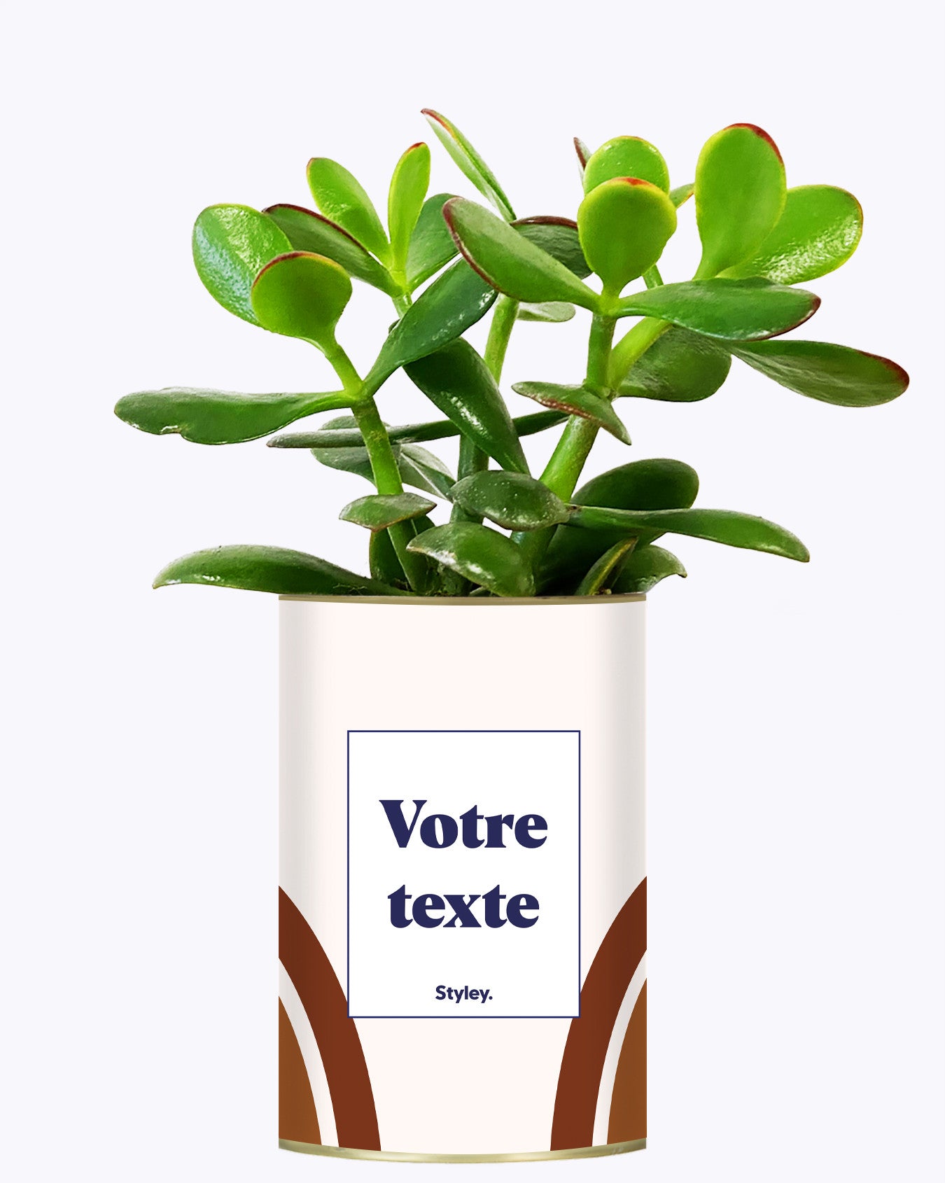 Arc - Plante personnalisable