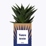 Grande Palme - Plante personnalisable