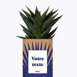 Grande Palme - Plante personnalisable
