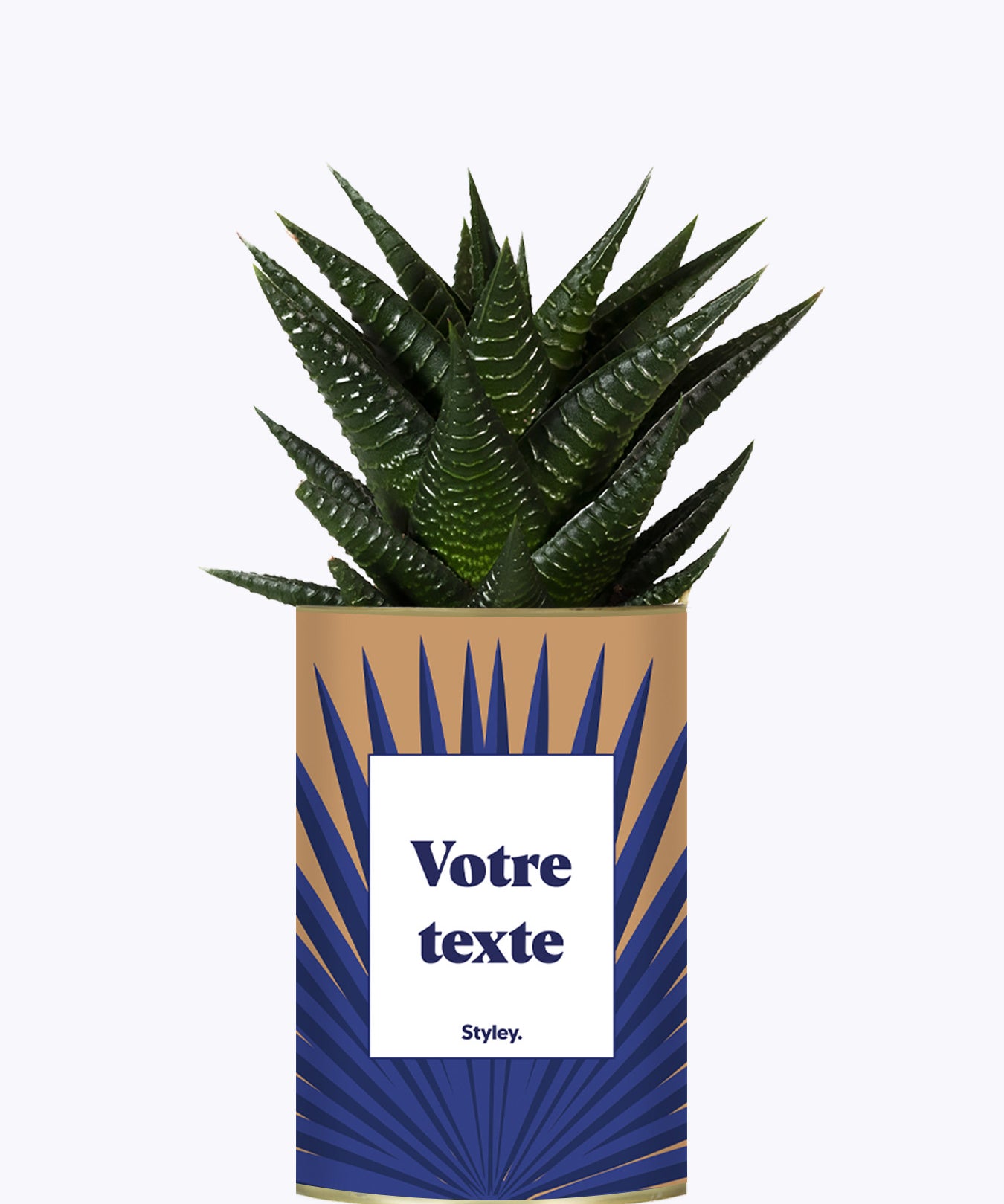 Grande Palme - Plante personnalisable