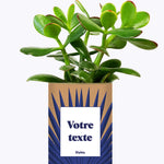 Grande Palme - Plante personnalisable
