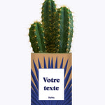 Grande Palme - Plante personnalisable