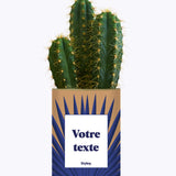 Grande Palme - Plante personnalisable