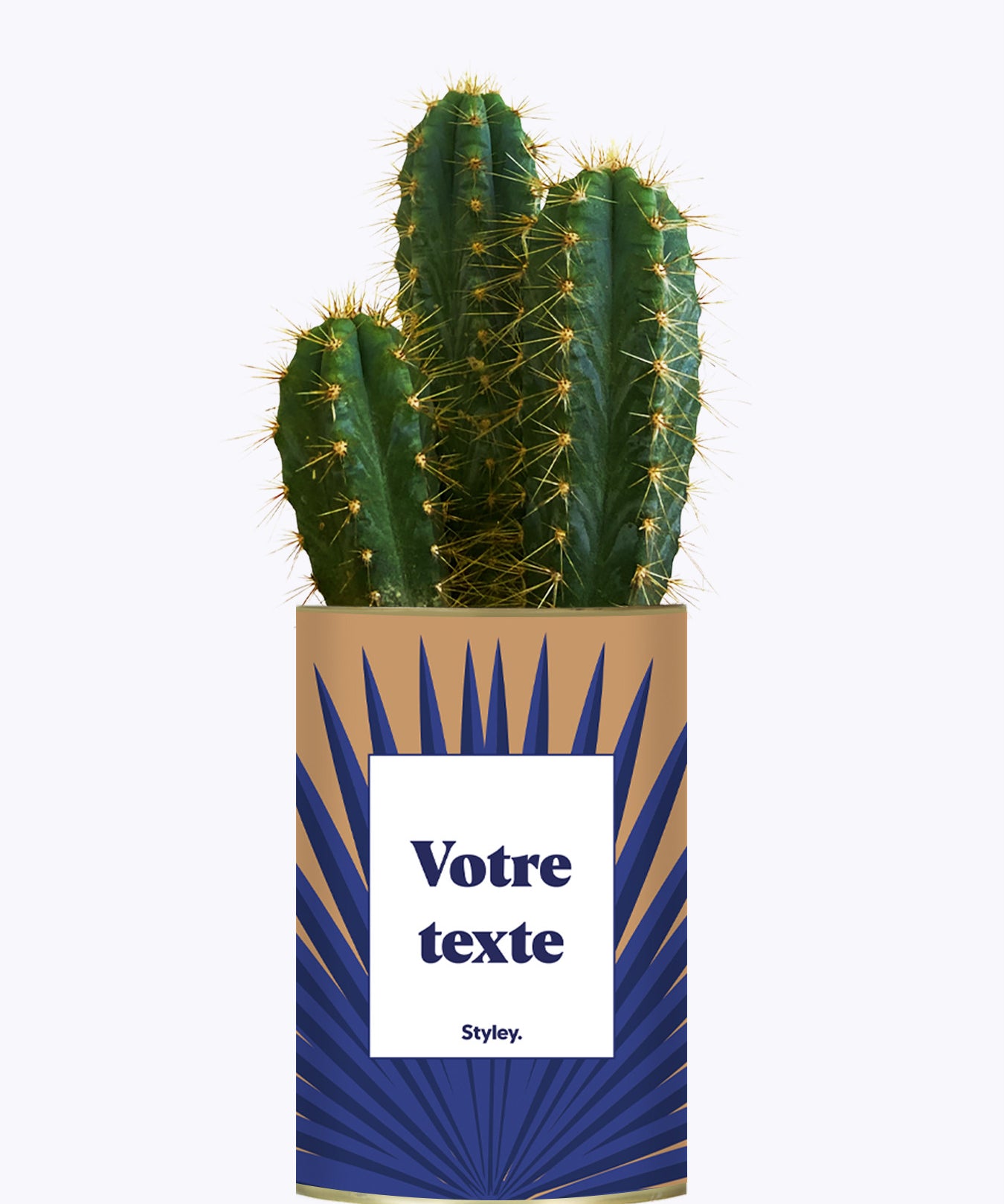 Grande Palme - Plante personnalisable