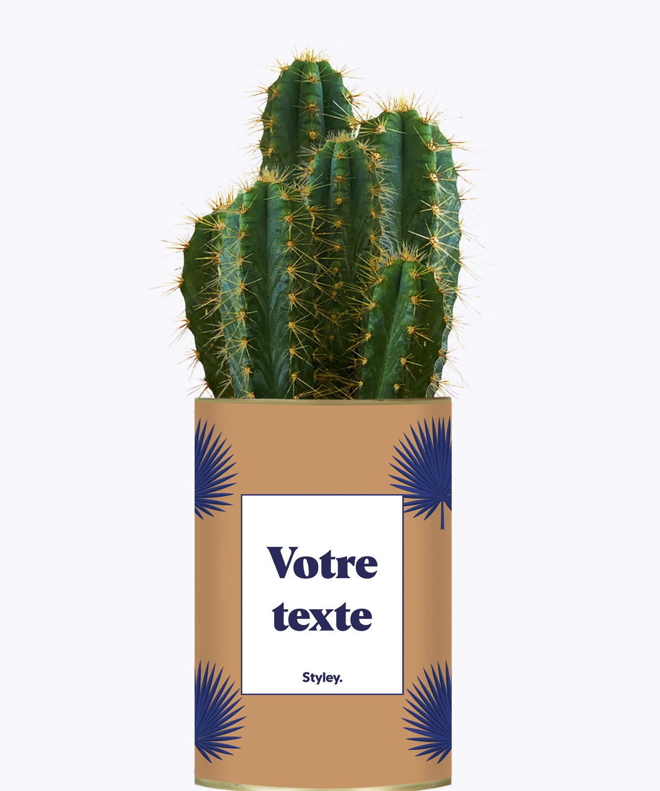 Petite Palme - Plante personnalisable