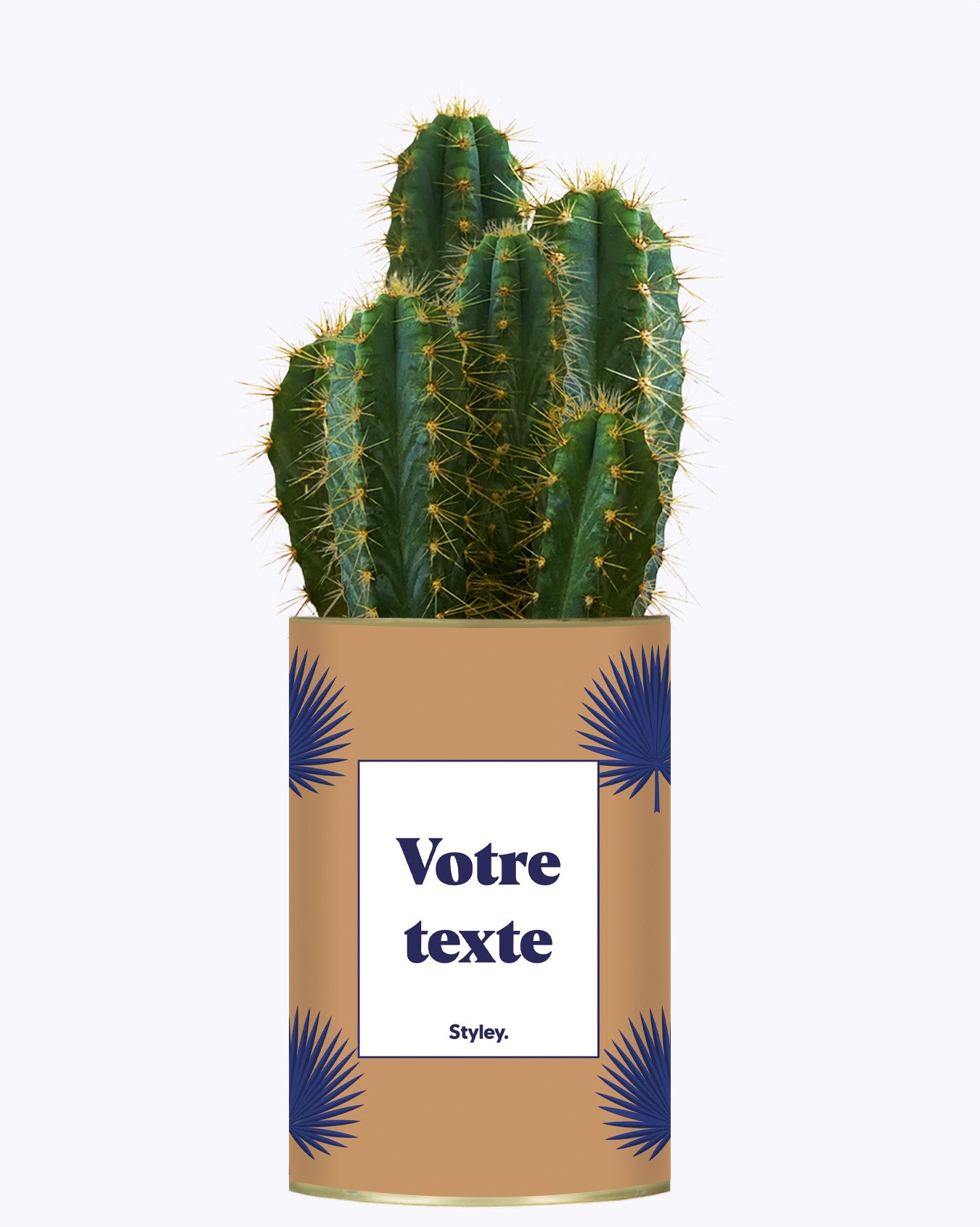 Petite Palme - Plante personnalisable